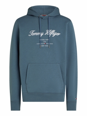 LOGO HOODY DBZ